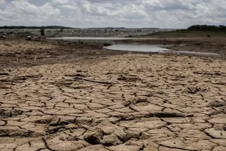 Ilustrasi dampak pemanasan global. Foto: Ist