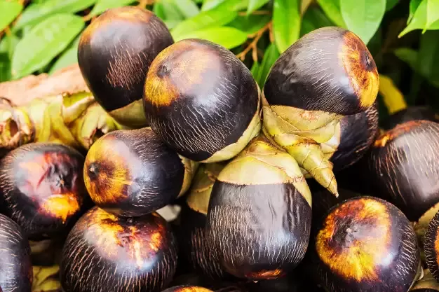 Buah lontar ternyata memiliki sejumlah manfaat bagi kesehatan tubuh. foto: int