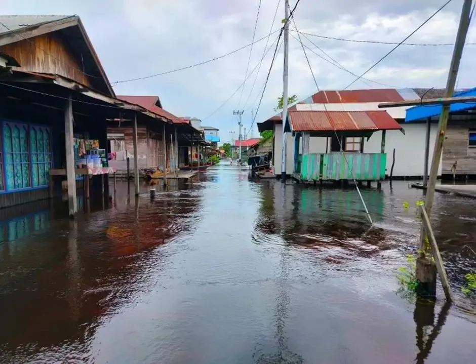 Banjir masih menggenangi rumah warga di Kabupaten Barito Selatan pada Jumat (19/1/2024). Foto: BNPB Kabupaten Barito Selatan