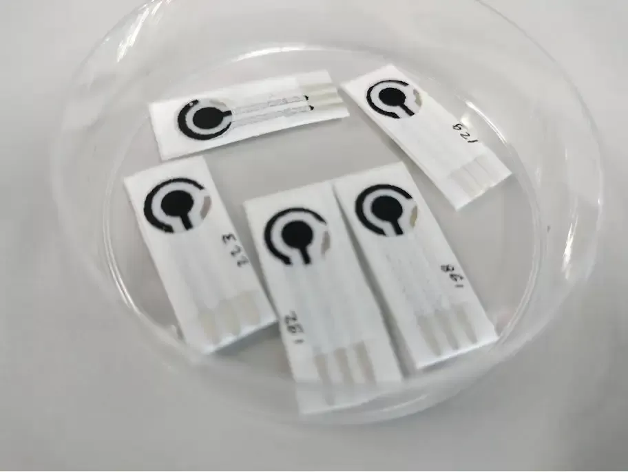 Peneliti Ahli Utama Pusat Riset Elektronika (PRE) BRIN, Robeth Viktoria Manurung mengembangkan penelitian biosensor berbasis elektrokimia. foto: ist