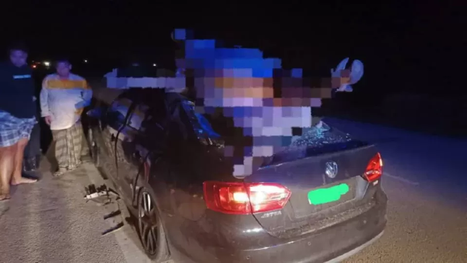 VW hantam kerbau di Malaysia. (Foto: NSTP-pembaca-BHonline)