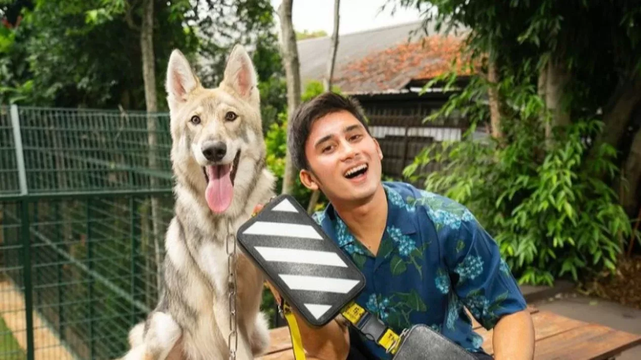 Netizen bingung terkait trending Twitter Alshad Ahmad yang tiba-tiba hilang. (Instagram/Alshadahmad)