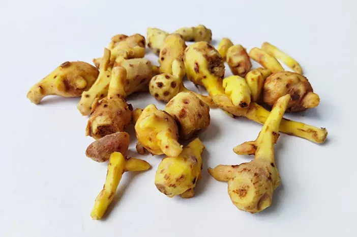 Wajib Tahu! 10 Manfaat Temu Kunci, Tak Sekadar Bumbu Masakan(Sumber:Pixabay/Pexels)