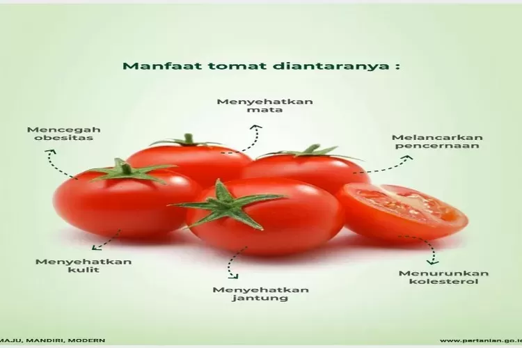 4 Manfaat tomat untuk kesehatan tubuh (Foto: Kementerian Pertanian)
