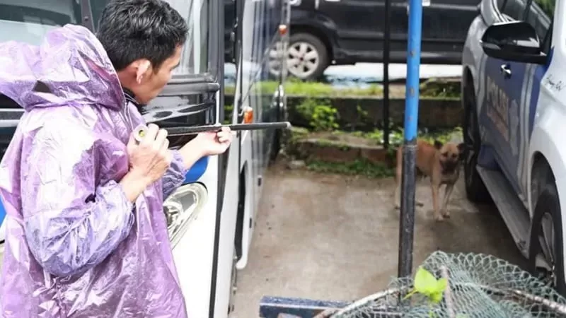 Proses pemusnahan hewan rabies di Tanah Datar dengan metode penembakan dengan senjata tulup. (Foto: Kominfo Tanah Datar)