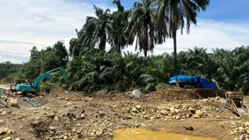 Tambang Emas Ilegal di Pasaman Barat (Foto: Istimewa)