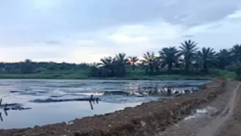 Perubahan warna air Sungai Batang Piruko di Nagari Koto Baru, Kecamatan Koto Baru, Kabupaten Dharmasraya. (Foto: Istimewa)