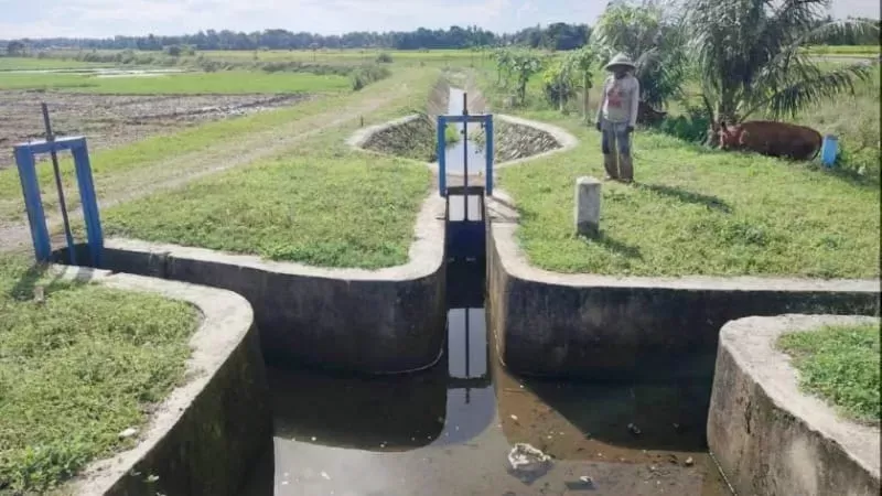 Irigasi Anai II Pariaman kembali dialiri air setelah lama tak berfungsi. (Foto: Kominfo Pariaman)