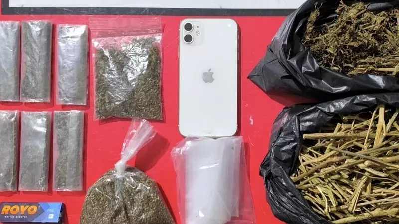Barang bukti ganja dari pelaku seorang pemuda inisial FR (22). (Foto: Polres Solok)