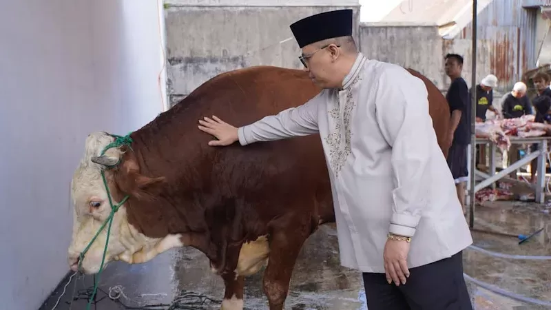 Sapi kurban Presiden untuk Kota Padang Panjang diserahkan ke Mesjid Muhammad Noer. (Foto: Kominfo Padang Panjang)