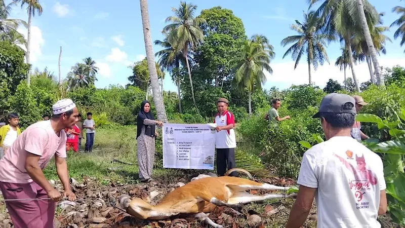 Penyembelihan hewan kurban Idul Adha 2026 dalam program Tebar Kurban. (Foto: Istimewa)