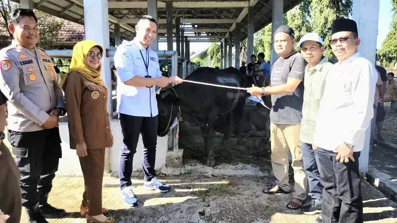 Wakil Bupati Dharmasraya Leli Arni menyalurkan hewan kurban secara simbolis. Total hewan kurban yang disalurkan tahun ini mencapai 24 ekor sapi dan dua ekor kambing. (Foto: Pemkab Dharmasraya)