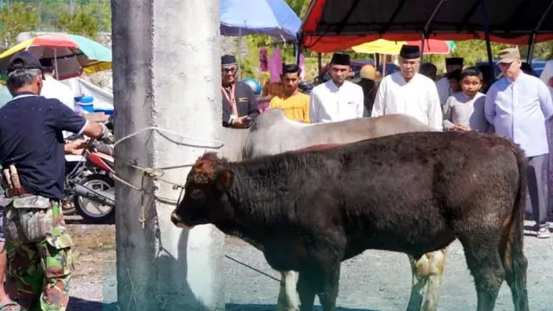 Penyembelihan hewan kurban di Islamic Centre Padang Panjang pada Idul Adha 2026. (Foto: Kominfo Padang Panjang)