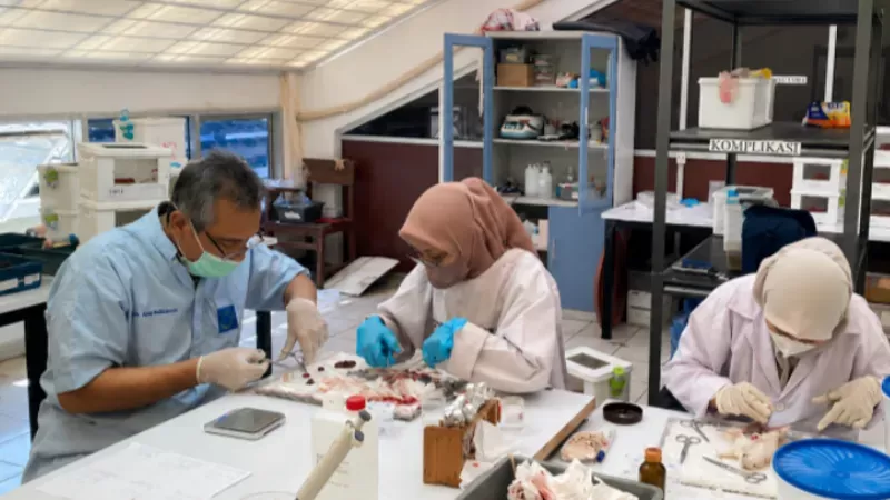 Tim peneliti Unand meneliti kombinasi herbal lokal sebagai alternatif alami untuk membantu menangani komplikasi diabetes dan hipertensi. (Foto: Unand)