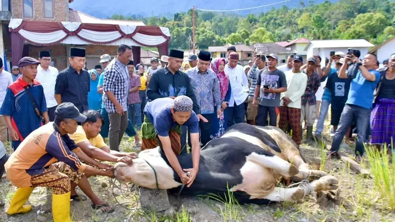 Penyembelihan hewan kurban bantuan Presiden di Jorong Toboh, Kecamatan Malalak, salah satu wilayah terdampak bencana banjir bandang di Kabupaten Agam. (Foto: Kominfo Agam)