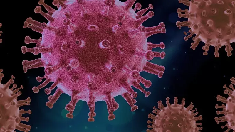 Ilustrasi Virus (Foto: Pixabay)