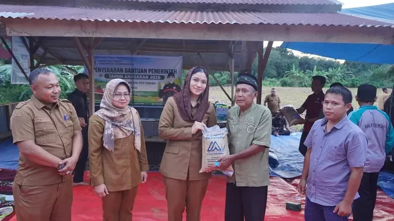 Bupati Annisa Suci Ramadhani saat menyerahkan bantuan benih padi kepada petani di Nagari Sitiung, Kecamatan Sitiung, Senin (22/6/2026). (Foto: Pemkab Dharmasraya)