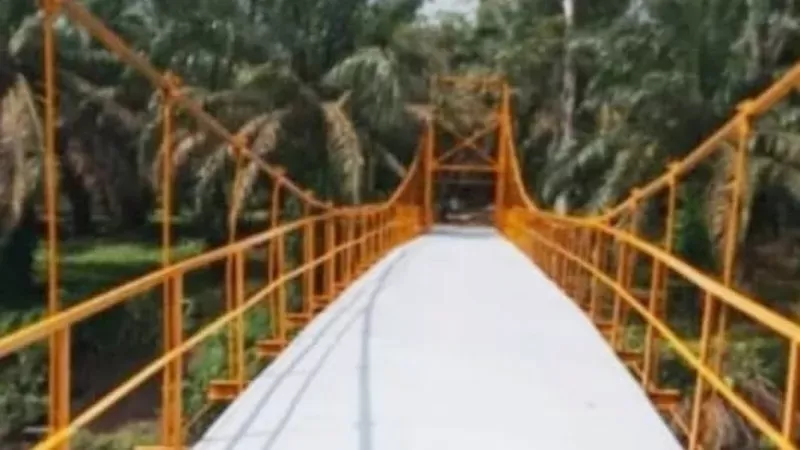 Ilustrasi Jembatan Gantung (Foto: Pemkab Pesisir Selatan)