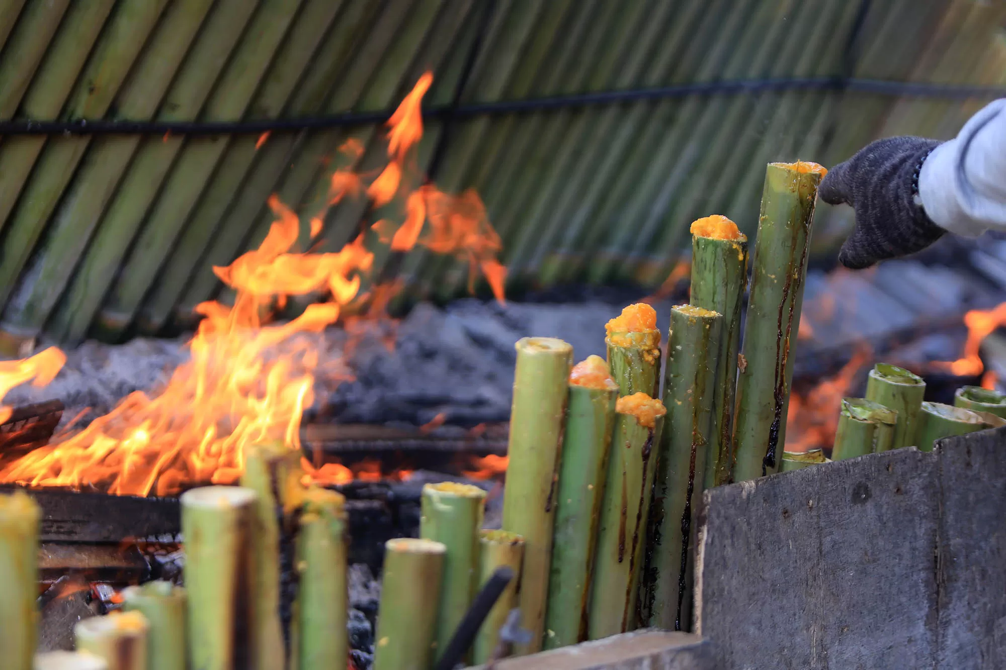 Pelaku usaha kuliner tradisional membakar  lemang bambu  di desa Lamdingin, Kota Banda Aceh, Sabtu (21/2/2026).  Lemang Bambu ,salah satu kuliner tradisional dan hanya ditemukan ramai dijual pada bulan Ramadhan 1447 HIjriyah itu dijual  seharga Rp30.000 hingga Rp100.000 per lemang bambu.  Aentenews Foto/Ampelsa.