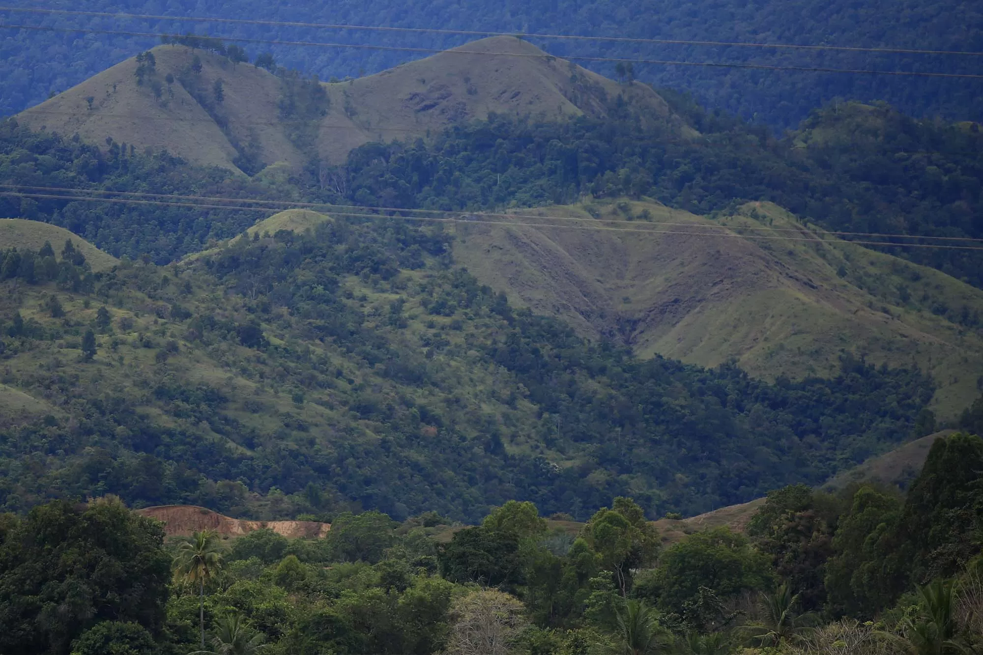 Kondisi kawasan hutan pegunungan di Aceh Besar.Aentenews Foto/Ampelsa