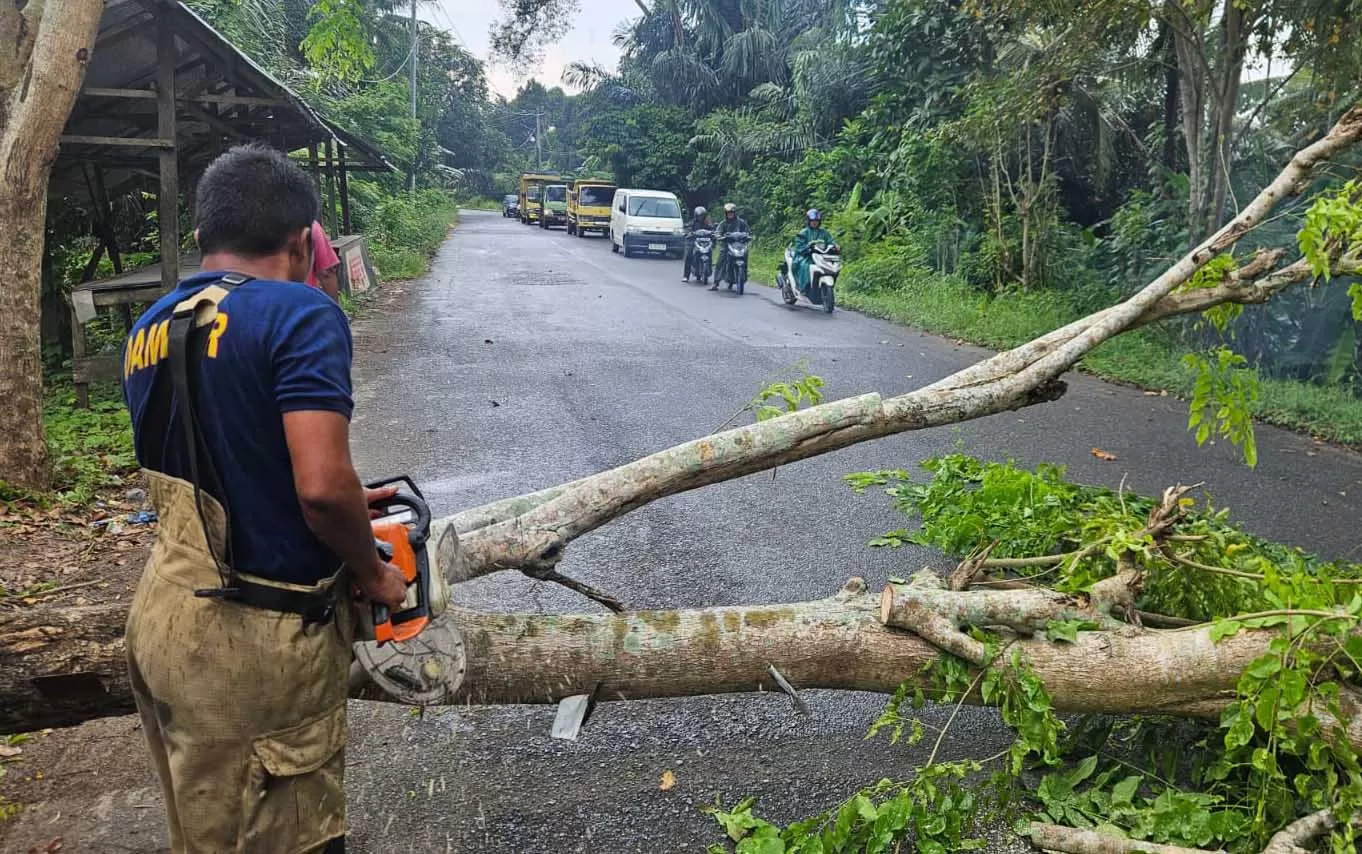Petugas BPBD Aceh Besar menyingkirkan pohon tumbang yang menutupi badan jalan, Sabtu 25/4/2026). Foto Dok BPBD.
