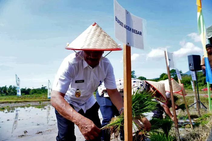 Wakil Bupati Aceh Besar , Syukri  bersama sejumlah pejabat terkait dan petani saat  Tanam Serempak Brigade Pangan pada musim tanam padi tahun 2026  di Aceh Besar. Fot Humas Pemkab Aceh Besar.
