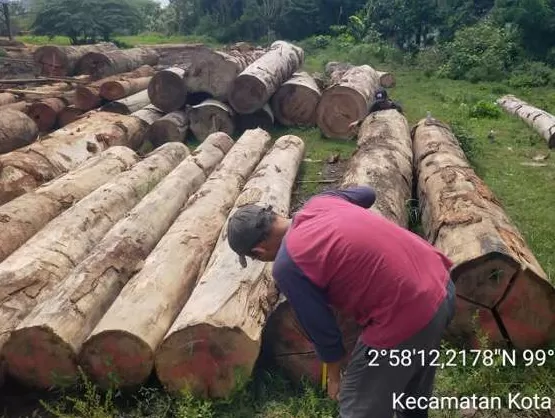 foto Dok Kemenhut