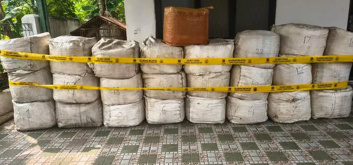 Barang bukti tindak kejahatan penyelundupan sisik trenggiling . Foto Dok Biro Hubungan Masyarakat dan Kerjasama Luar Negeri, Kementerian Kehutanan.