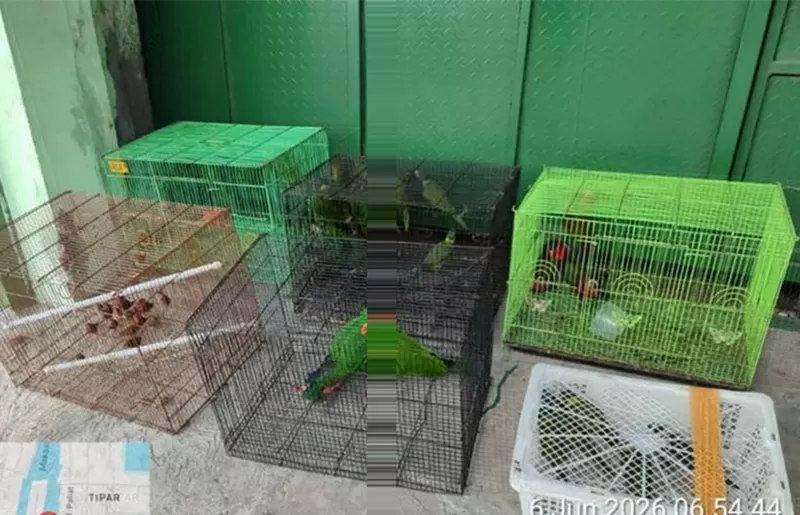 Foto Biro Hubungan Masyarakat dan Kerjasama Luar Negeri, Kementerian Kehutanan.