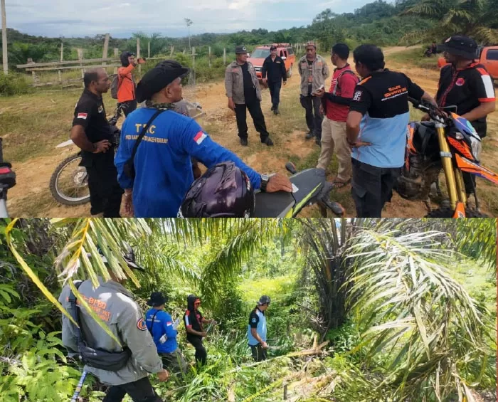 Foto Dok BPBD/BKSDA Aceh Barat.