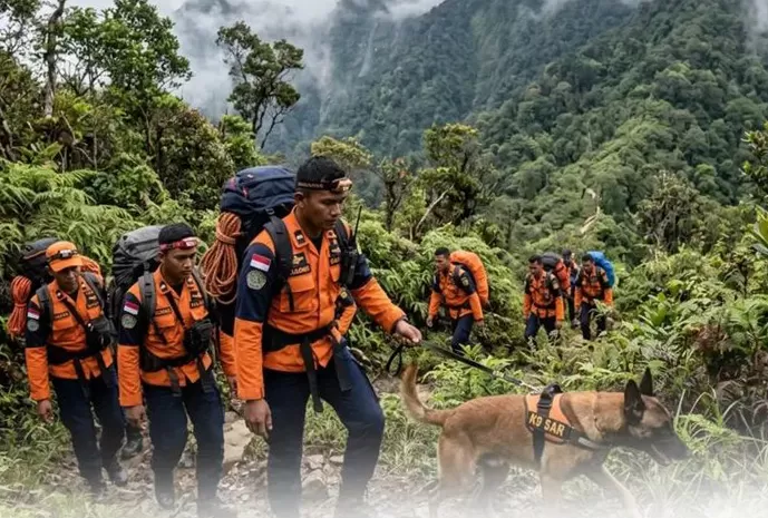 Tim SAR gabungan melakukan pencarian dengan melibatkan anjing pelacak (K-9) di Gunung Seulawah, Aceh Besar, Rabu (3/6/2026). Foto Dok TIM Basarnas.