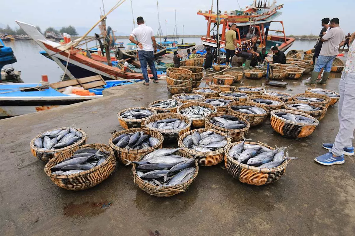 Nelayan menata keranjang berisi ikan di pelabuhan Perikanan Samudera Lampulo, Banda Aceh, Aceh, Senin (21/9/2026).  Kementerian Kelautan dan Perikanan (KKP) mencatat volume ekspor komoditas perikanan asal proviinsi Aceh tahun 2025 sebanyak 2.149 ton, atau turun drastis sekitar 100 persen dibanding volume eskpor tahun 2024 sebanyak 5.146 ton . Aentenews Foto/Ampelsa.