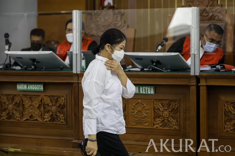 JPU Tuntut Putri Candrawathi 8 Tahun Penjara Di Kasus Yosua, Pengunjung ...