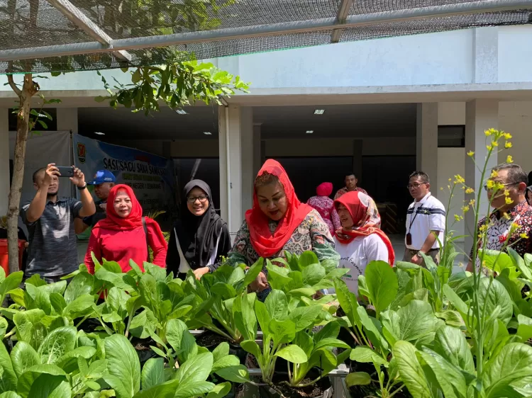 Urban Farming Jadi Kurikulum Unggulan Di SMP Negeri Se-Kota Semarang ...