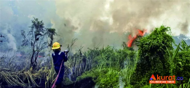 Bmkg Balikpapan Deteksi Sembilan Titik Api Di Kaltim Akurat Kaltim