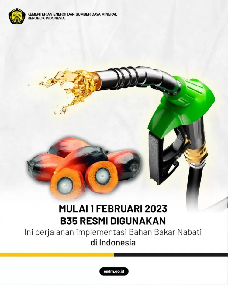 Mengenal Biodiesel B35, Jenis BBM Campuran Minyak Sawit - Akurat