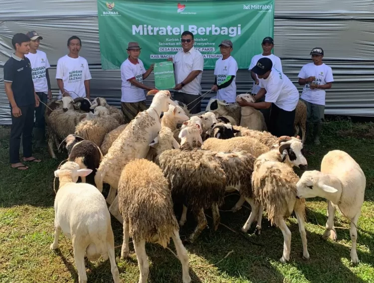 Rayakan Idul Adha, Mitratel Bersama BAZNAS Salurkan 3.467 Paket Daging ...