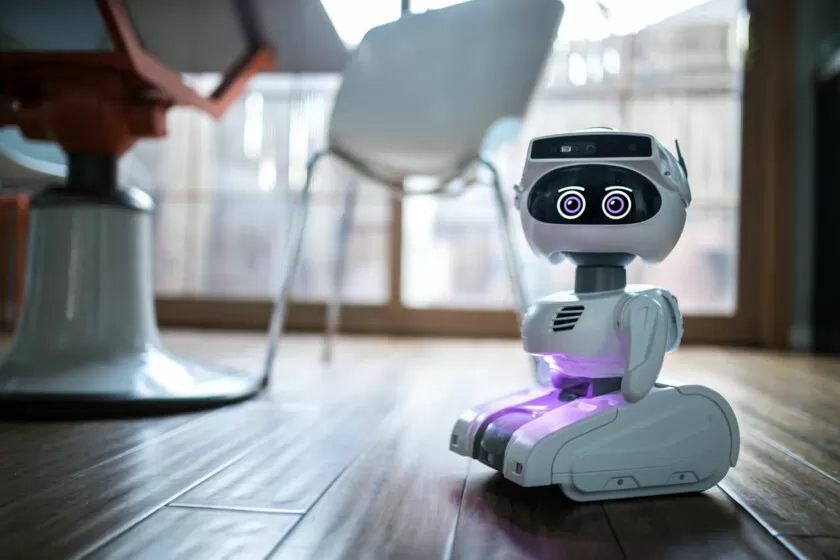 Lucu Dan Menggemasakan, Ini Dia Robot Yang Bisa Jadi Teman Manusia - Akurat