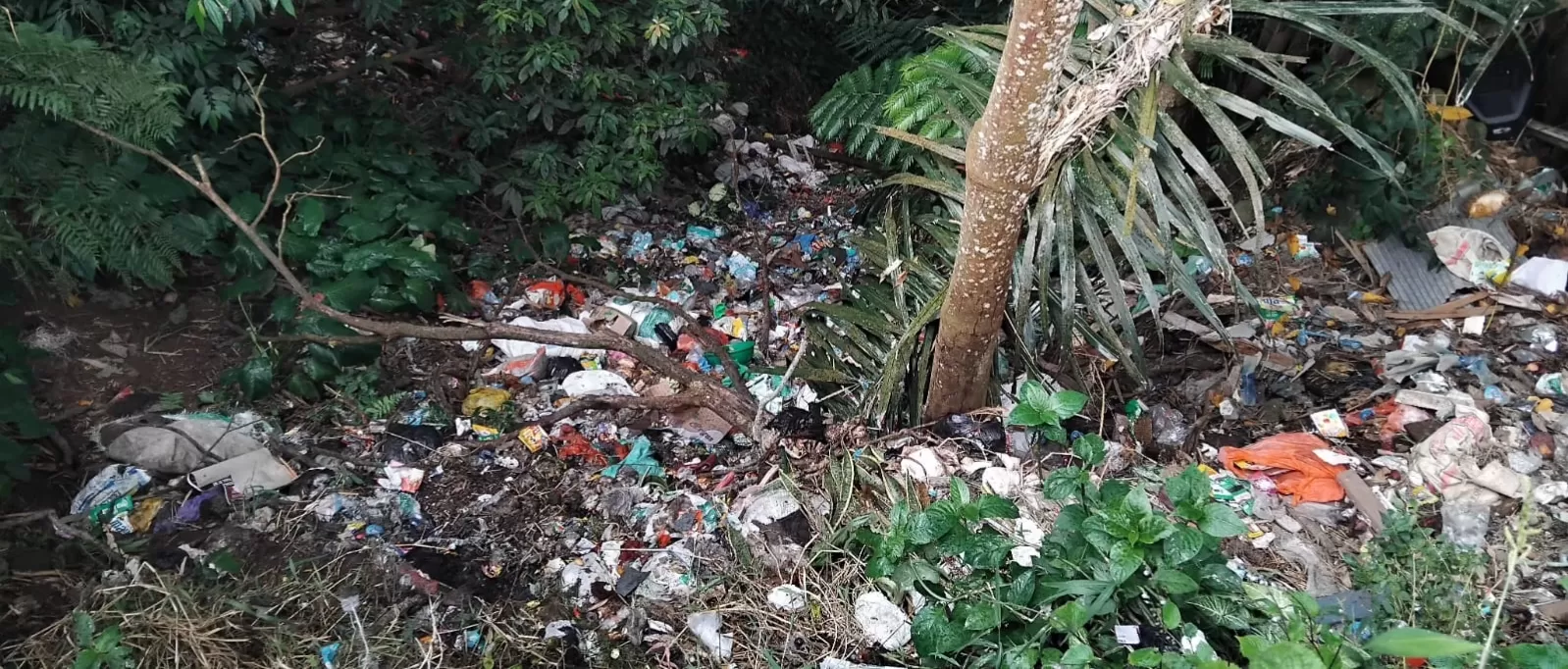 Foto: Tumpukan Sampah dibawah jembatan perbatasan Desa Kindang-Sapobonto