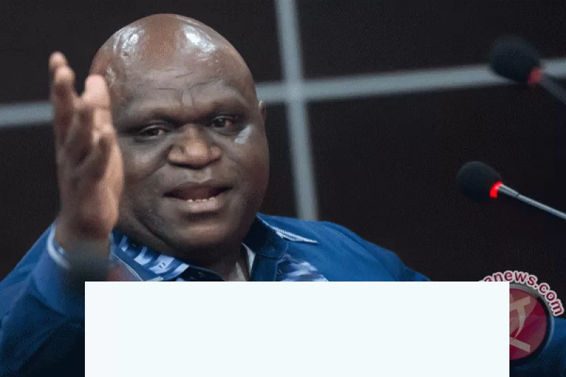 Natalius Pigai (jpnn/antara)