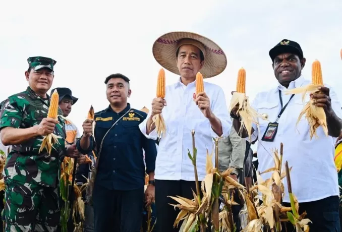 Bupati Keerom, Piter Gusbager saat mendampingi Presiden Jokowi menyaksikan panen perdana jagung di kawasan food estate, Kampung Wambes, Distrik Mannem, Kabupaten Keerom, Provinsi Papua, 6 Juli 2023. Eryck/Ceposonline