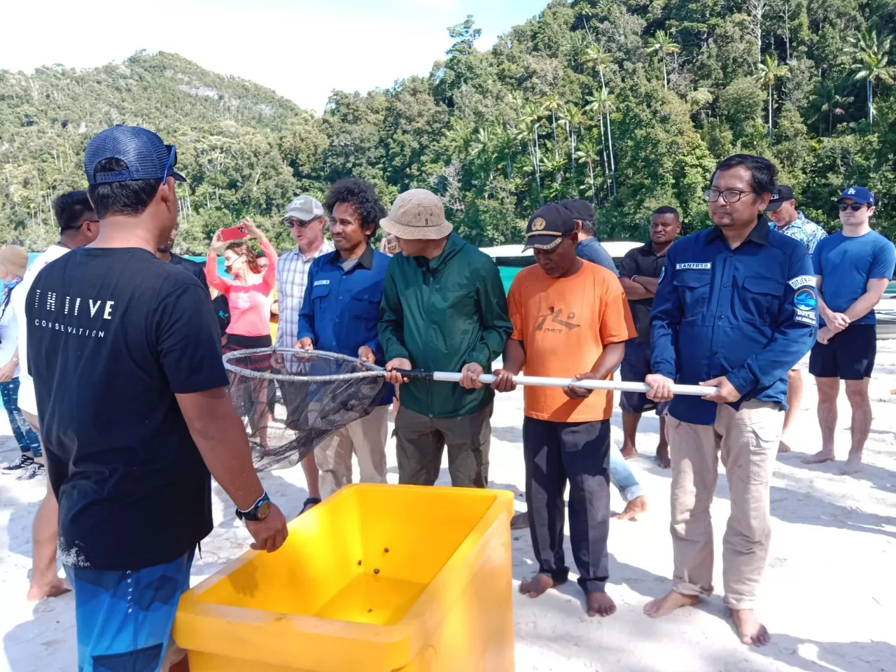 Anakan hiu dilepasliarkan di Raja Ampat
