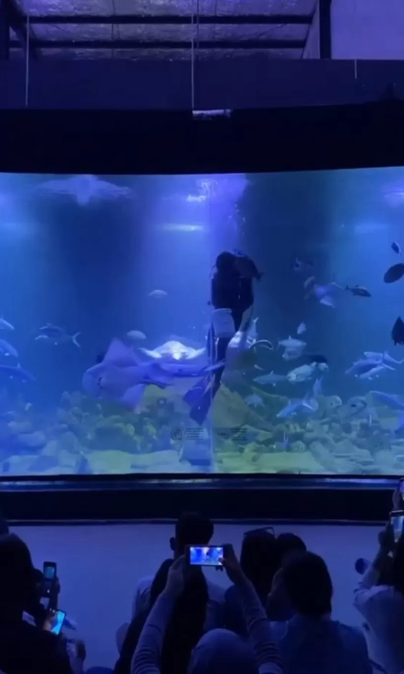 Aquarium Indonesia Pangandaran milik Kementerian Kelautan dan Perikanan (KKP) menjadi destinasi favorit di masa libur lebaran 2023. foto: ist