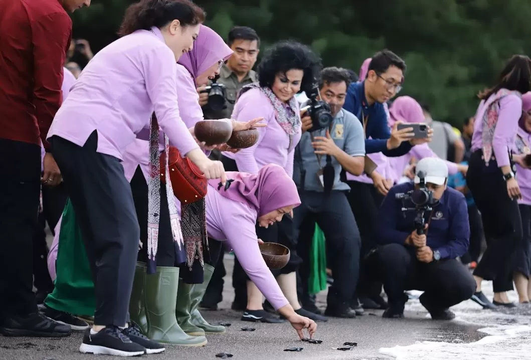 Pelepasliaran tukik di perairan Bangsring, Banyuwangi bersama anak-anak sekolah dan Ibu Negara Iriana Joko Widodo serta Organisasi Aksi Solidaritas Era Kabinet Indonesia Maju (OASE KIM). foto: ist
