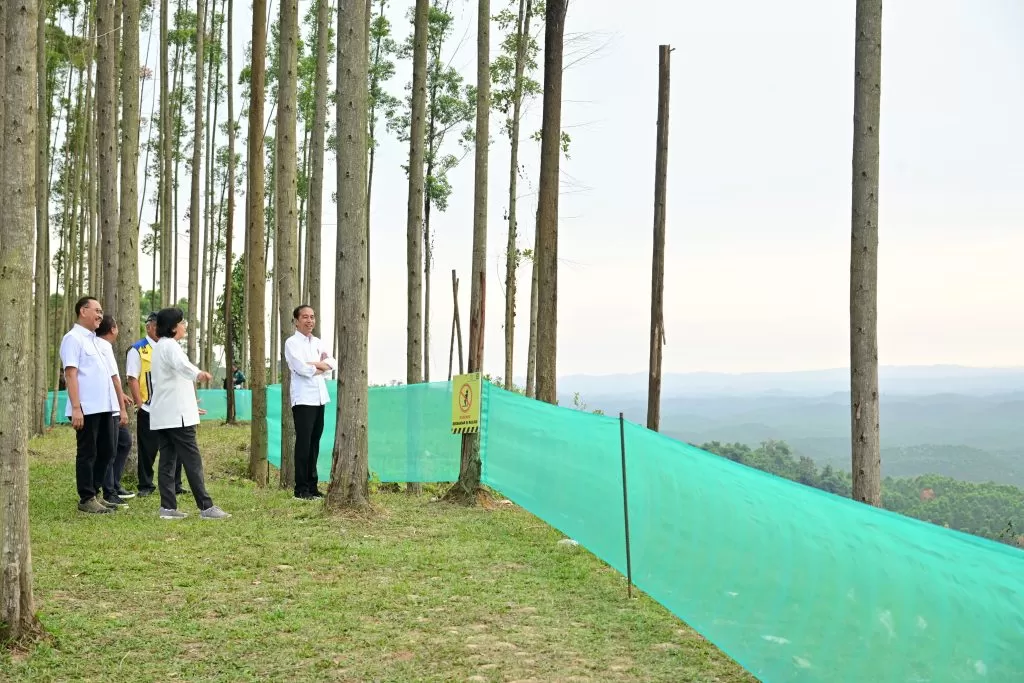 Presiden Jokowi bersama sejumlah pejabat menikmati suasana pagi di kawasan IKN, Penajam Paser Utara, Kaltim, Jumat (22/9/2023). foto: ist