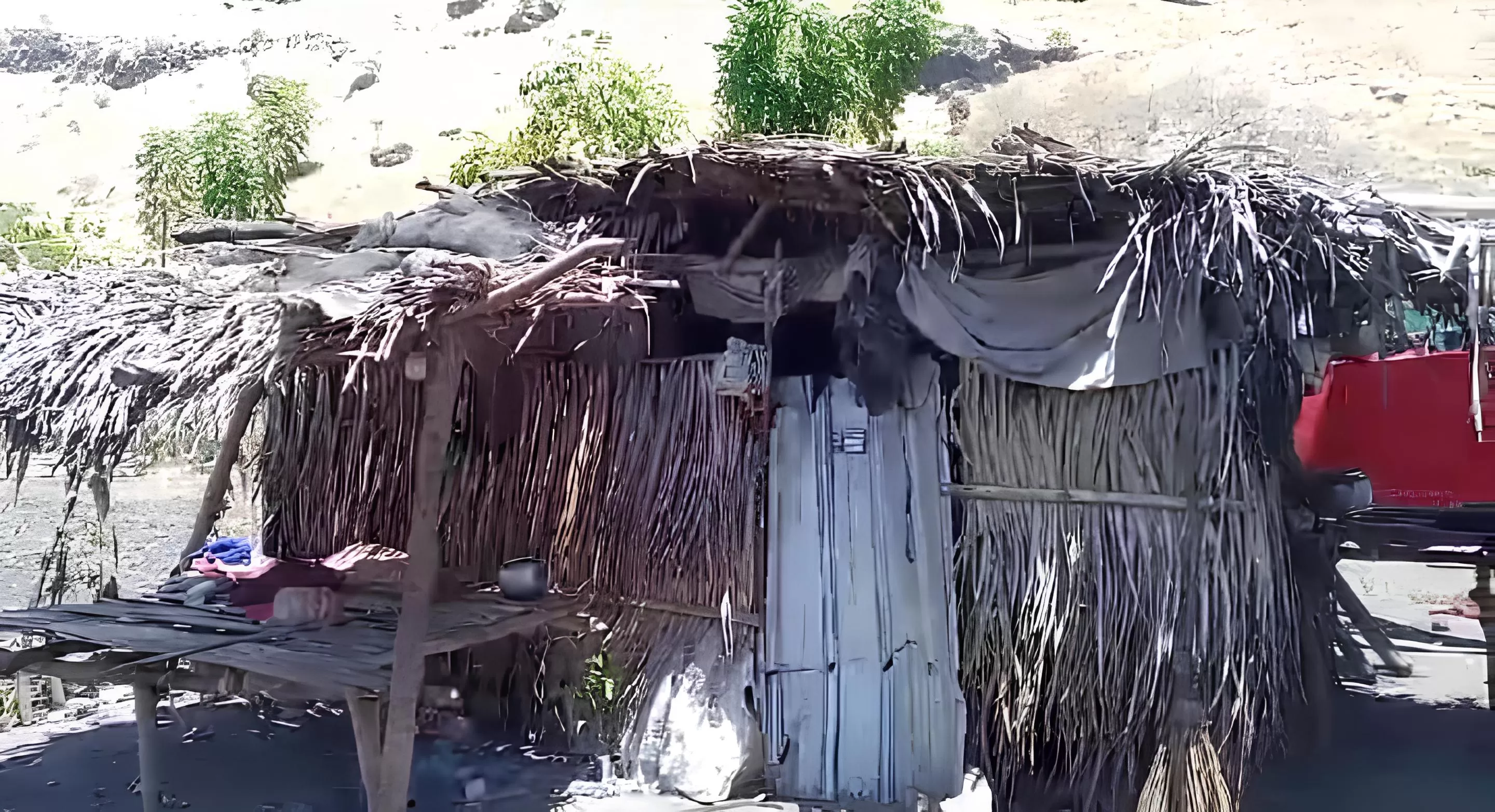 Gubuk yang ditinggali  Anastasi Sao, berusia 34 tahun bersama empat anaknya di Dusun Megeloo, Desa Reroroja, Kabupaten Sikka, Nusa Tenggara Timur (NTT). Foto: Ist