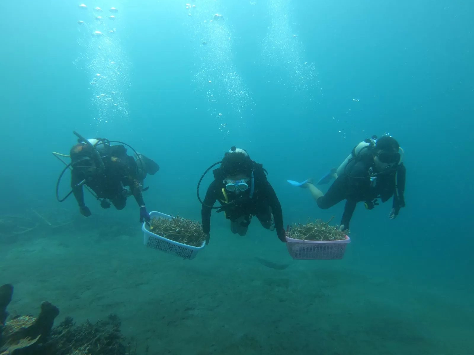 KKP menyiapkan perangkat berbasis teknologi digital sebagai instrumen pengelolaan ruang laut yang kuat dan handal. foto: ist