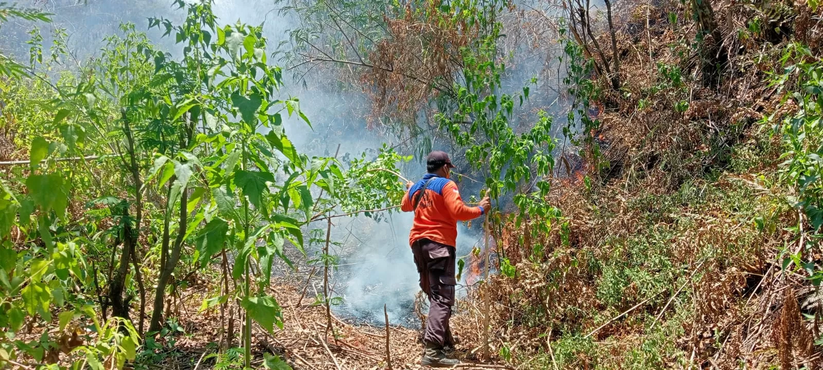 Petugas PBD Karangasem sedang dalam operasi pemadaman kebakaran hutan di kawasan Gunung Abang, Kabupaten Karangasem, Bali, Senin (1/11/2023). Foto: BPBD Karangasem