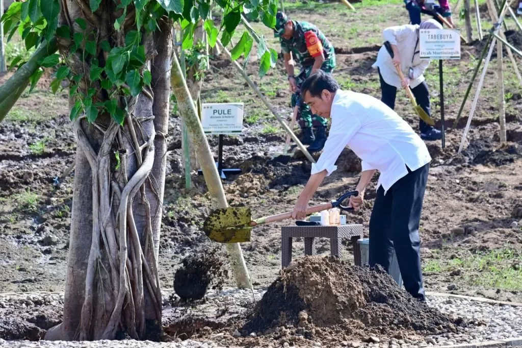 Presiden Jokowi melaksanakan penanaman pohon bersama masyarakat dan pelajar di Embung Anak Munting, Kabupaten Manggarai Barat, NTT, Selasa (5/12/2023).  foto: ist
