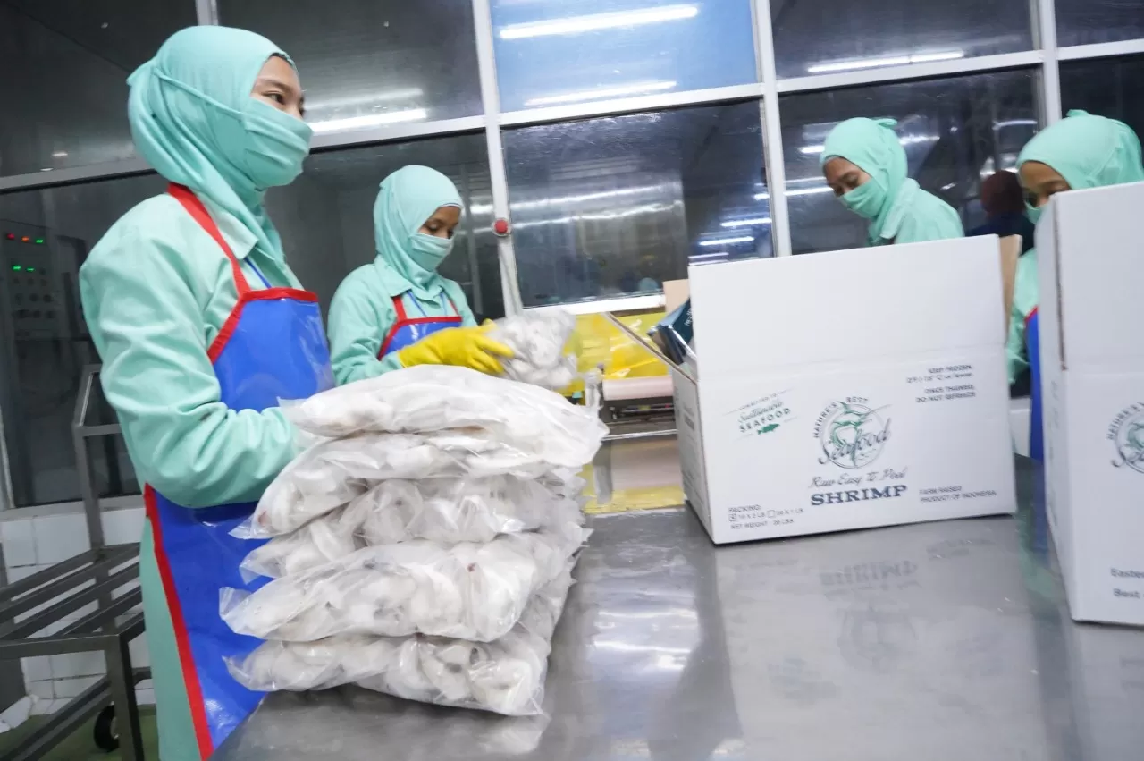 Petambak udang yang tergabung dalam Shrimp Club Indonesia (SCI) menyambut positif langkah KKP dalam menyikapi tuduhan anti dumping (AD) dan countervailing duties (CVD) terhadap ekspor udang beku Indonesia ke pasar AS. foto: ist